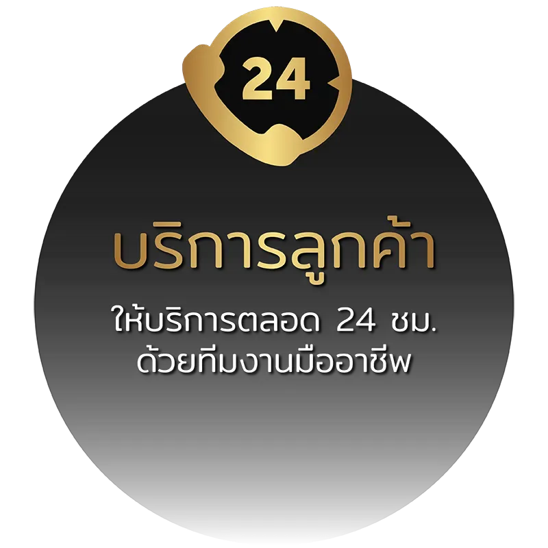 Skyline619 บริการลูกค้า